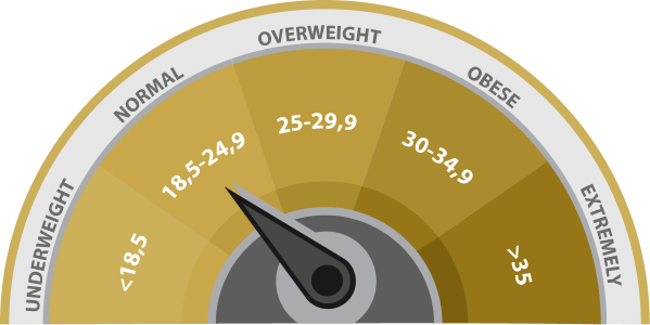 BMI Result